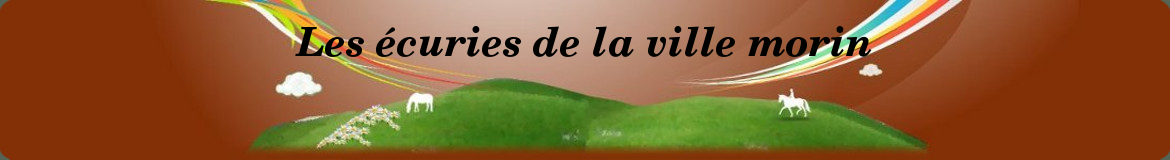 Les écuries de la ville morin